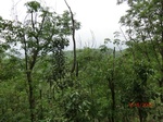53400CIMG6711.JPG