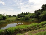 24529DSC00448.JPG