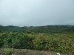 55654CIMG2429.JPG