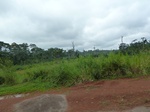 19938P1010788.JPG