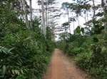 46597CIMG0886.JPG