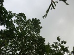 45260CIMG2345.JPG