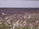 2730 055.jpg
