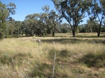 43146NSW003_L6.jpg