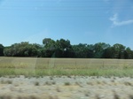 35021DSC01923.JPG