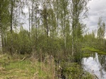 2025-05-21_10-09-10_IMG_7956.jpeg