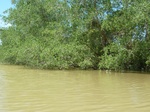 54728Bulungan (225).JPG