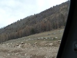 22282P1010418.JPG