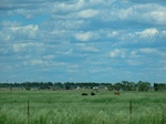 29042CIMG0741.JPG