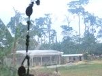 49452CIMG5789.JPG
