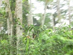 48808CIMG5145.JPG