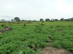 18727P1000565.JPG