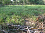 29963IMG_5378.JPG