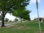 50824CIMG0001.JPG