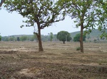 17451100_2139.JPG