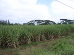 21411RIMG0029.JPG