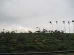 13393IMG_3756.JPG