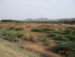 52222Tank ID 1800112 Thippayyanadurga 1.JPG