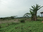 51966CIMG0708.JPG