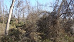 9710DSC01386.JPG