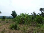 18451P1000287.JPG
