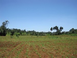 32136IMG_0560.JPG