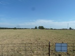 39265P1070917.JPG