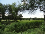 24643DSC00864.JPG