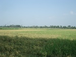 21865DSC08456.JPG