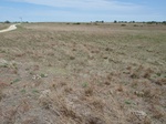 39242MAYR20110810N.JPG