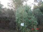 10608gt-028-wetland-seosonal-dry-streambed-01.jpg