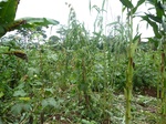 20064P1010915.JPG
