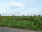 18346P1000182.JPG