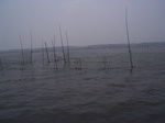 760R0015260.jpg