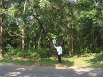 9256gt017b-forests-mature-sec.gif