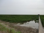 53799CIMG0265.JPG