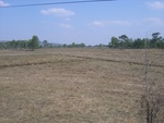 28080RIMG0135.JPG
