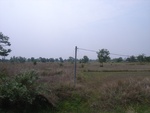 28091RIMG0146.JPG