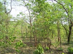 17405100_2091.JPG