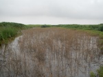 54433DSCN1714.JPG
