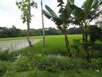 24562DSC00765.JPG