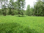 36830CIMG0601.JPG