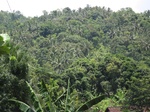 15823IMG_4356.JPG