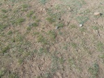 23109P1020621.JPG