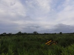 24853DSC01031.JPG