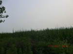 32814CIMG1946.JPG