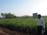 7832gt054a-cropland-rainfed-mixwd-crops.jpg