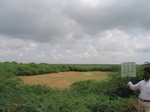 7912gt111a_scrubland_shrubland.jpg