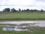 33380RIMG0120.JPG