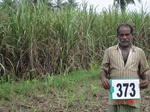 133320373c-irrigated-supplemental-groundwater-sugarcane-coconut-plantation.gif